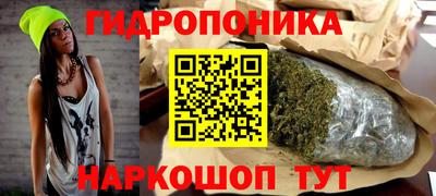 гашик Свободный