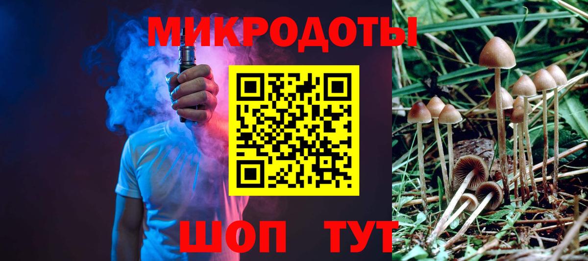 Галлюциногенные грибы Psilocybine cubensis Протвино